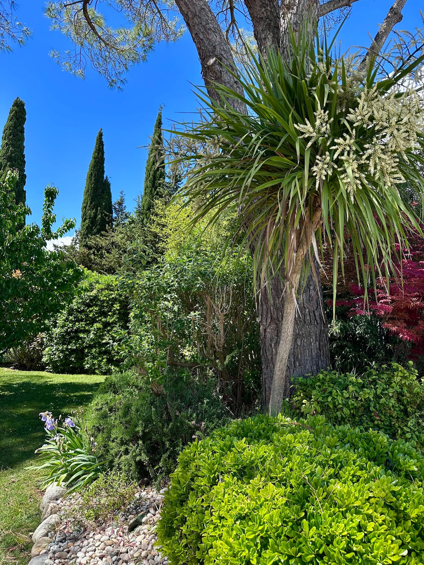 Le jardin méditerranéen de la propriété
