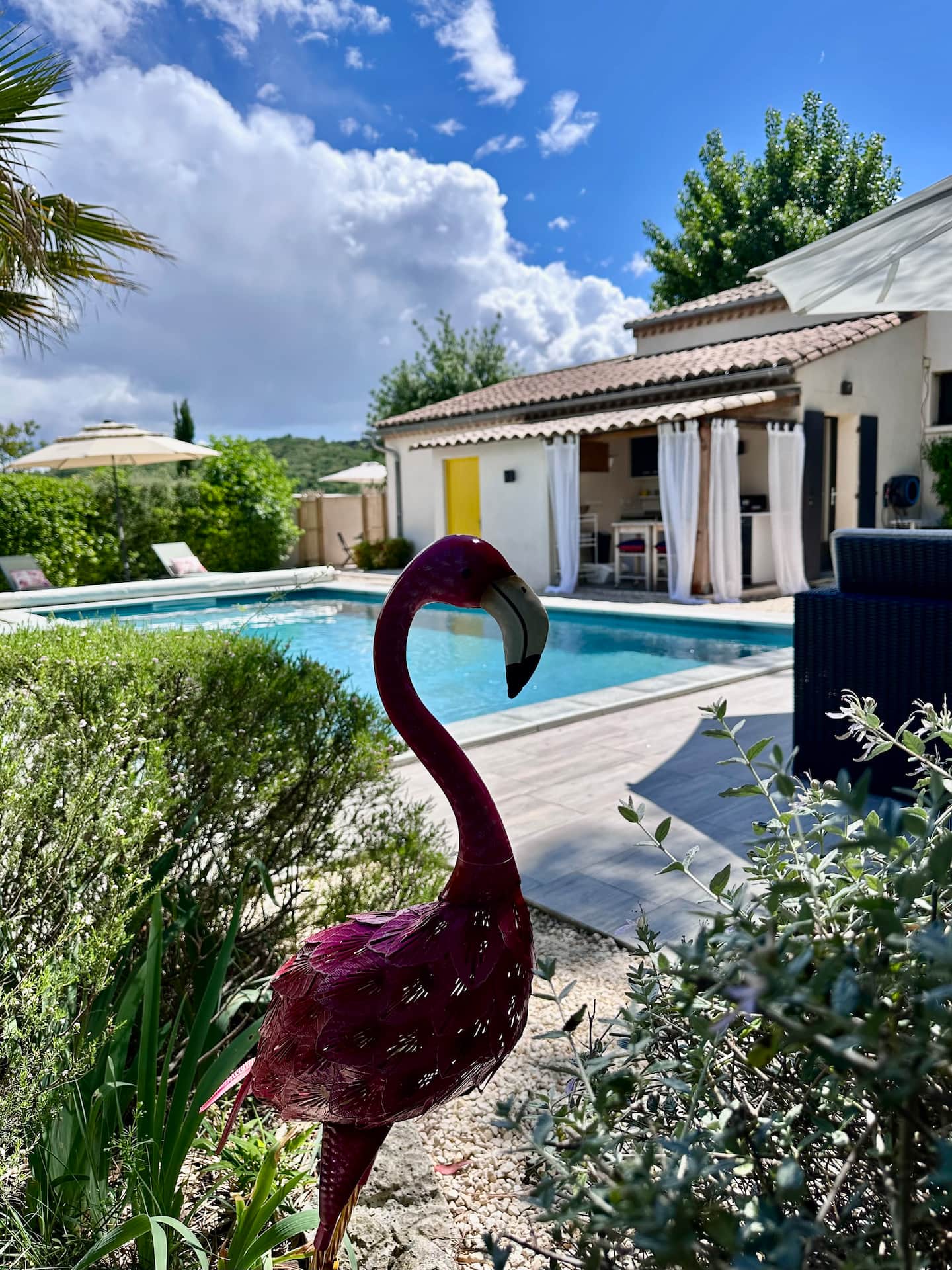 La piscine et le pool house à la porte jaune, vus du jardin