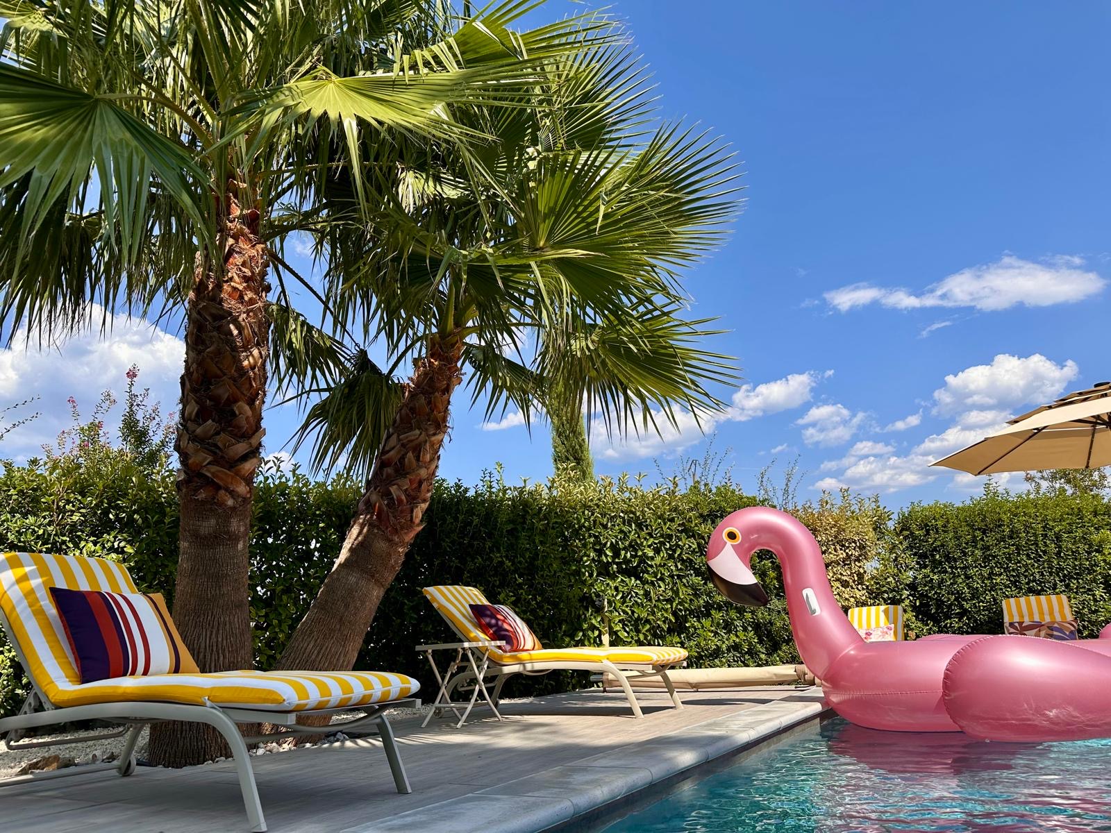 Les palmiers, les transats jaunes et le flamant rose