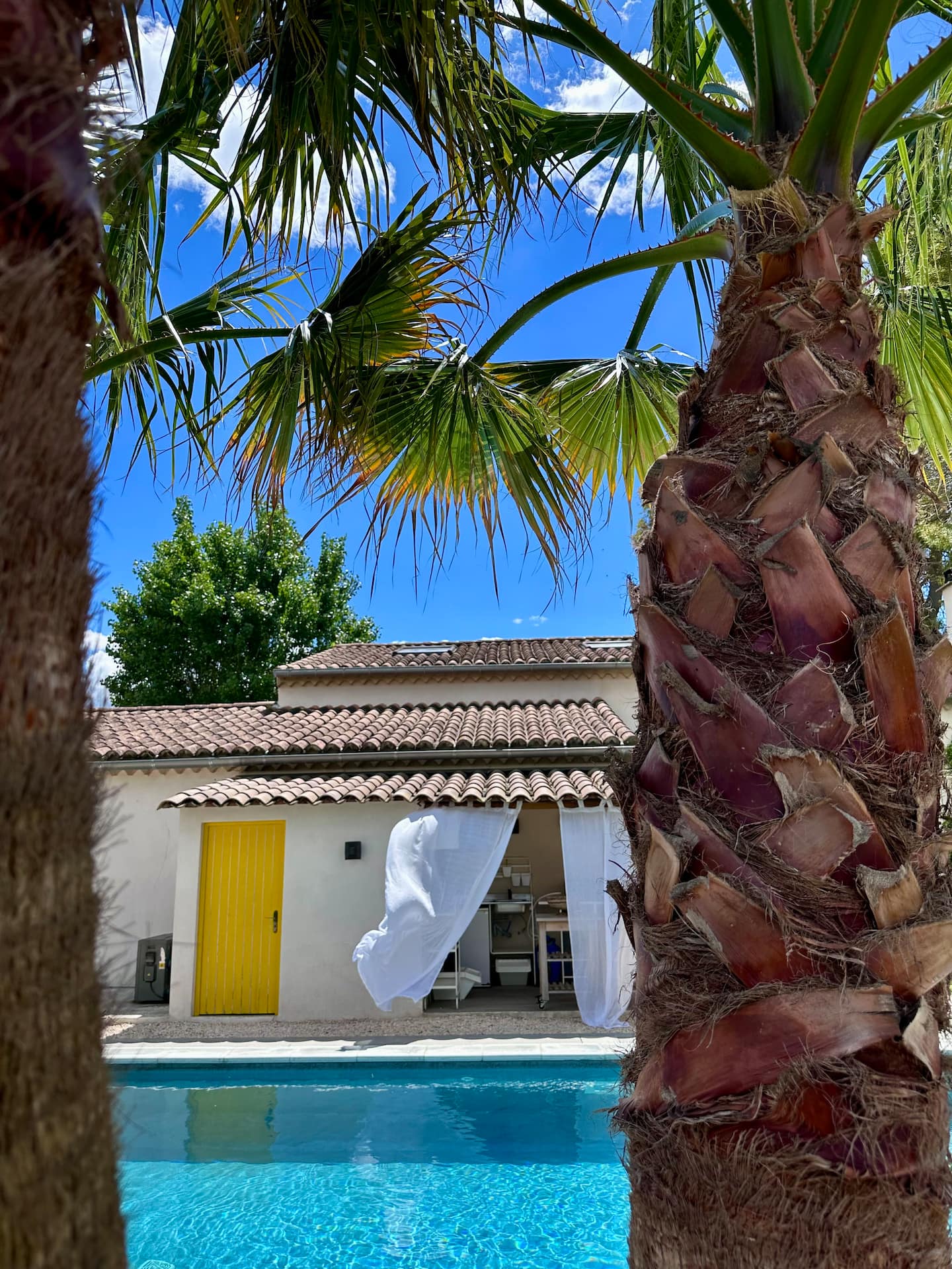 Le pool house et sa porte jaune au bord du bassin