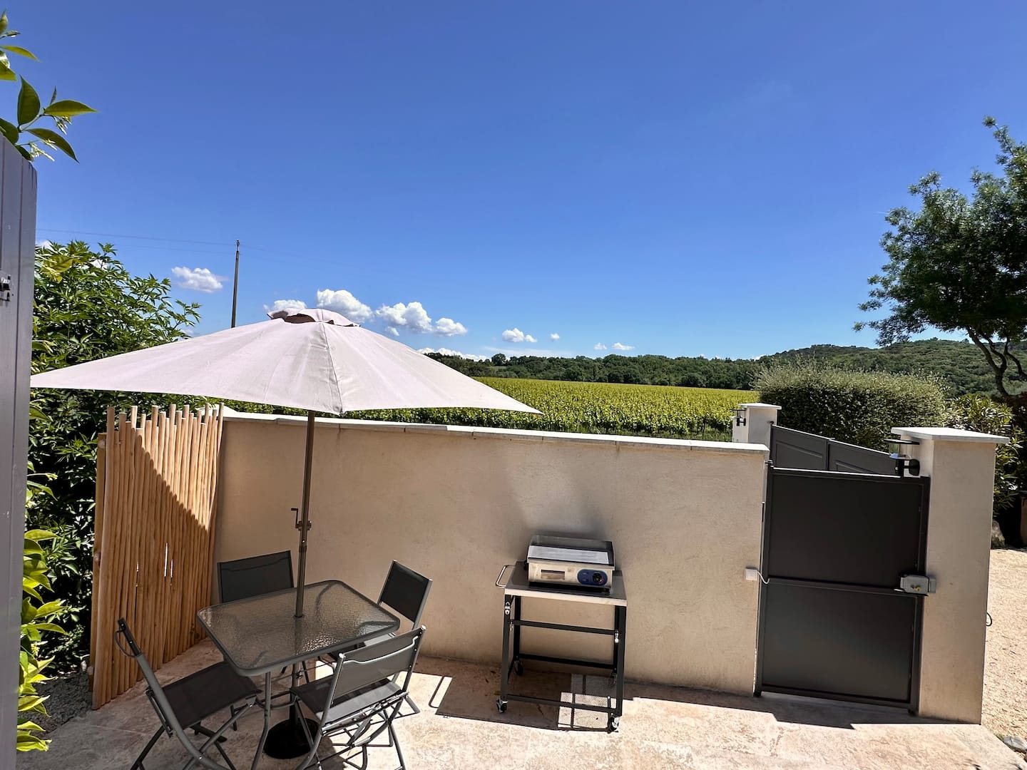 Plancha sur la terrasse, face aux champs